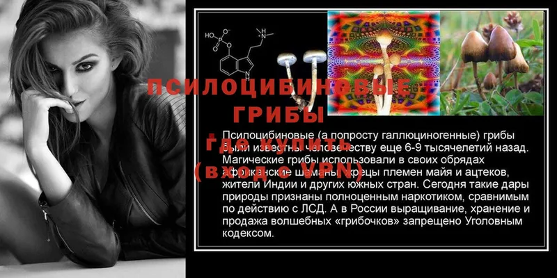 Галлюциногенные грибы GOLDEN TEACHER  кракен как зайти  Белореченск 