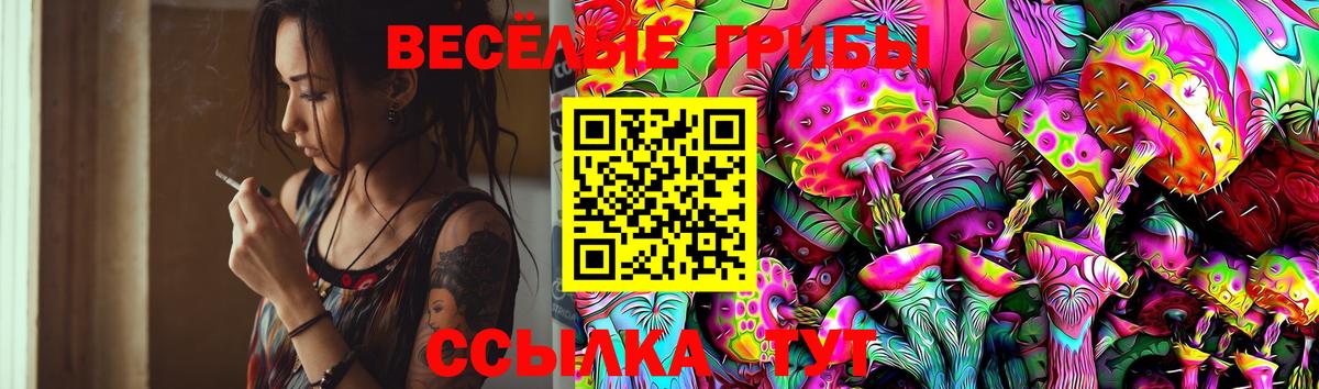 Псилоцибиновые грибы Magic Shrooms  Белореченск 